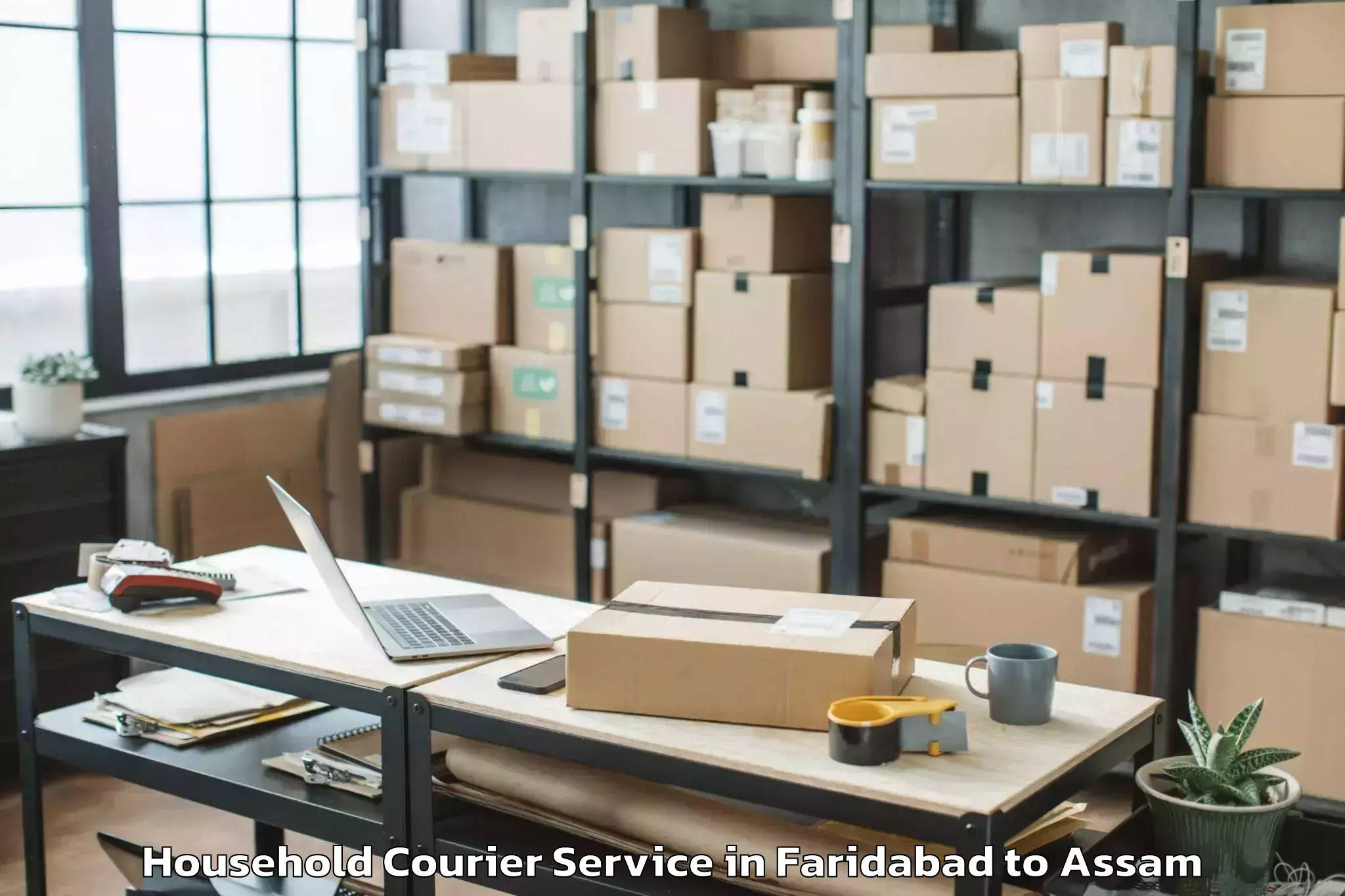 Book Faridabad to Pathorighat Pt Household Courier